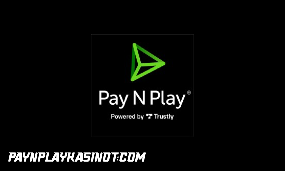 Pay n play -opas